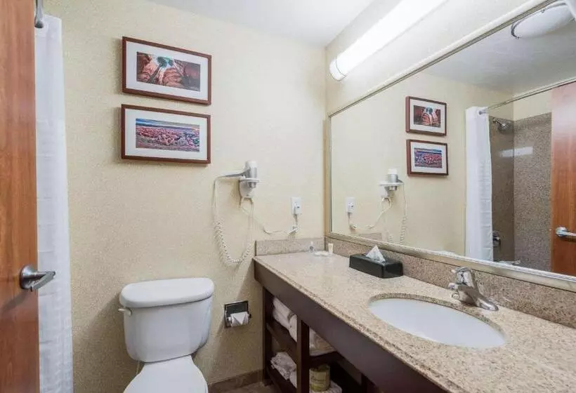 اتاق استاندارد, Comfort Inn & Suites