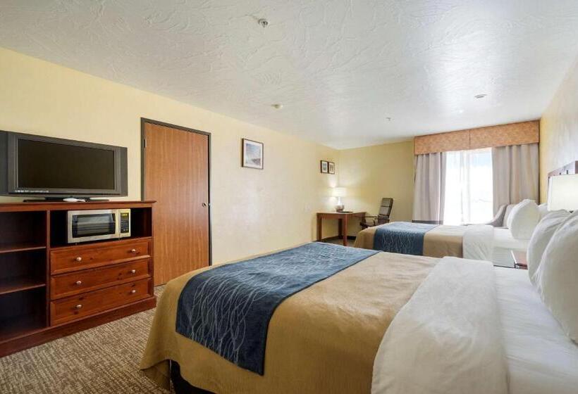 Номер Стандарт, Comfort Inn & Suites