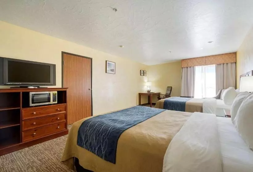اتاق استاندارد, Comfort Inn & Suites