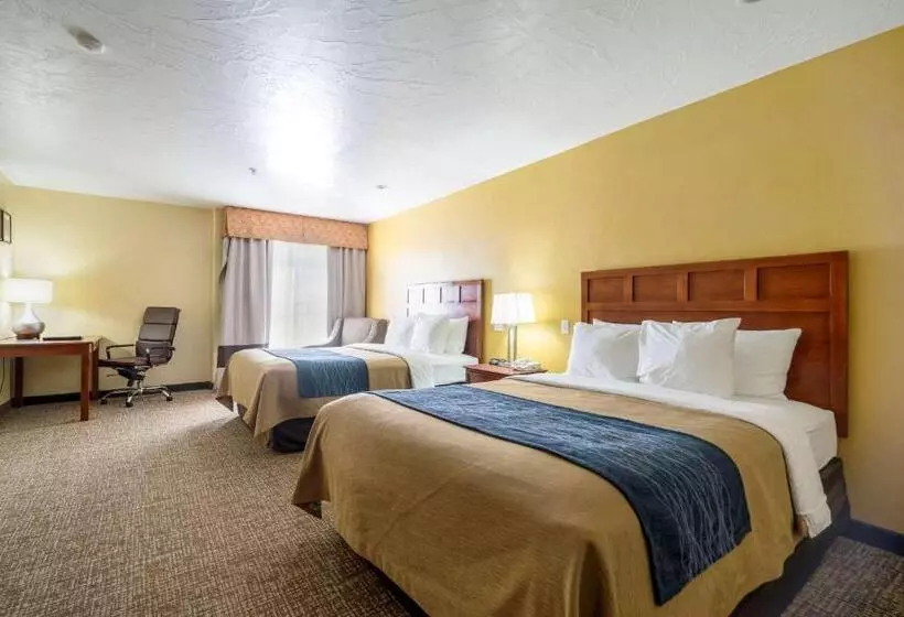اتاق استاندارد, Comfort Inn & Suites