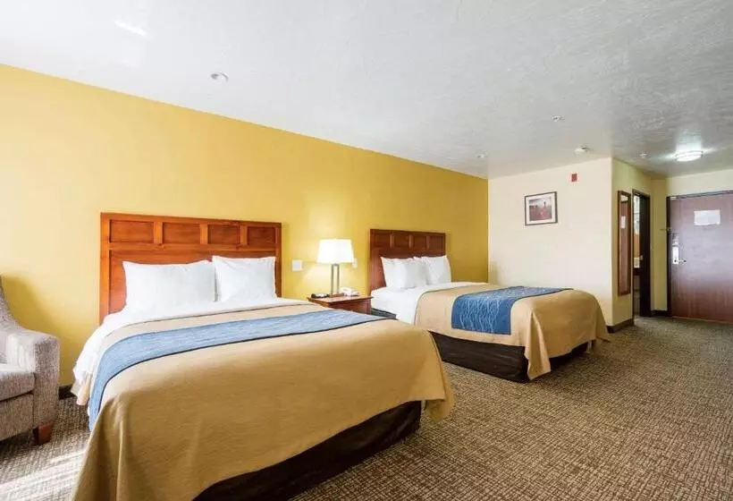 اتاق استاندارد, Comfort Inn & Suites