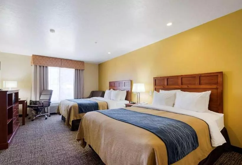 سوییت, Comfort Inn & Suites