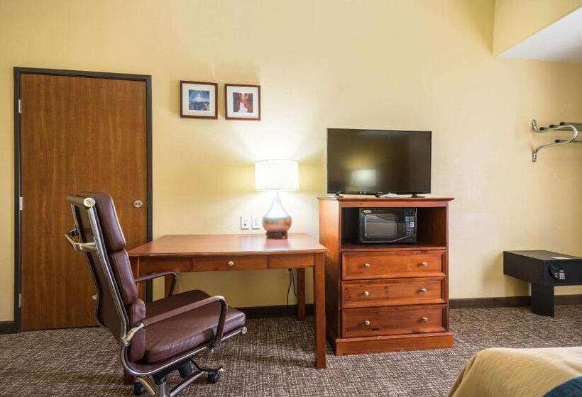 Номер Стандарт Адаптированный для Инвалидов, Comfort Inn & Suites