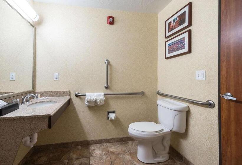 غرفة قياسية لذوى الاحتياجات الخاصة, Comfort Inn & Suites