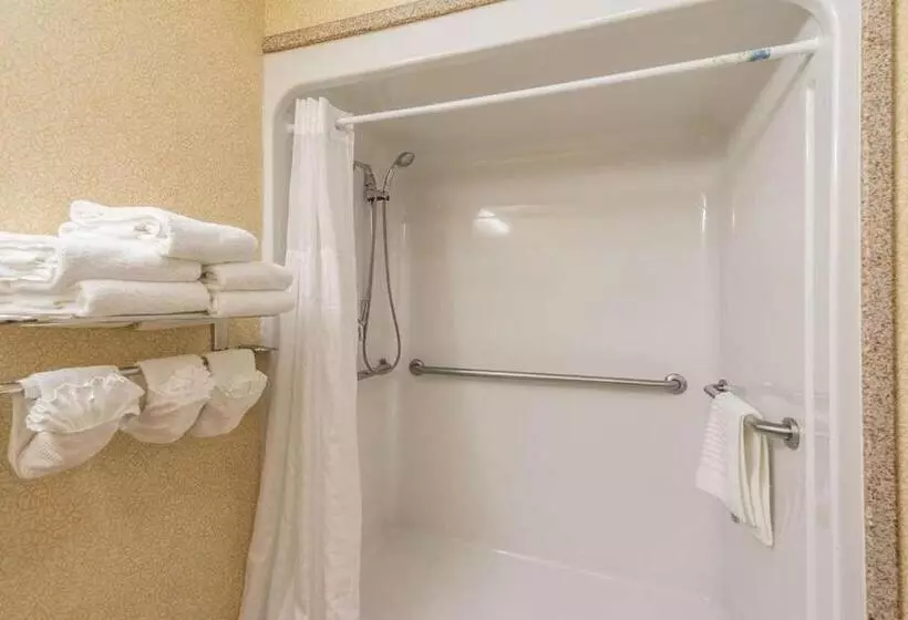 اتاق استاندارد با تخت بزرگ برای معلولان, Comfort Inn & Suites