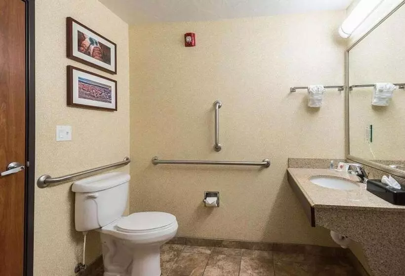 اتاق استاندارد با تخت بزرگ برای معلولان, Comfort Inn & Suites