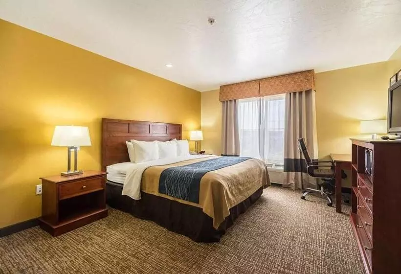 اتاق استاندارد با تخت بزرگ برای معلولان, Comfort Inn & Suites