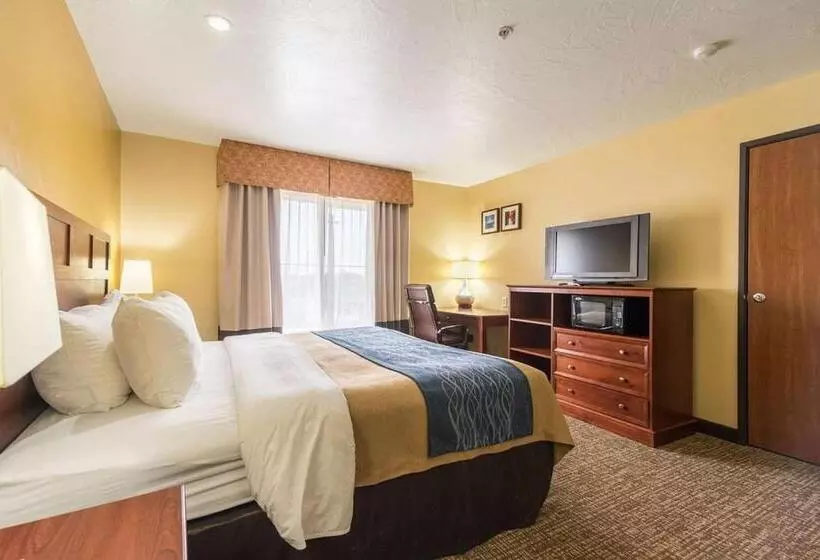 اتاق استاندارد با تخت بزرگ برای معلولان, Comfort Inn & Suites