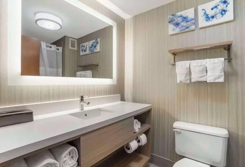 スイート, Comfort Suites At Westgate Mall