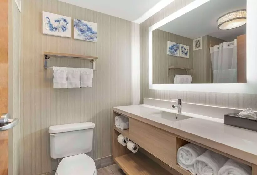 スイート, Comfort Suites At Westgate Mall