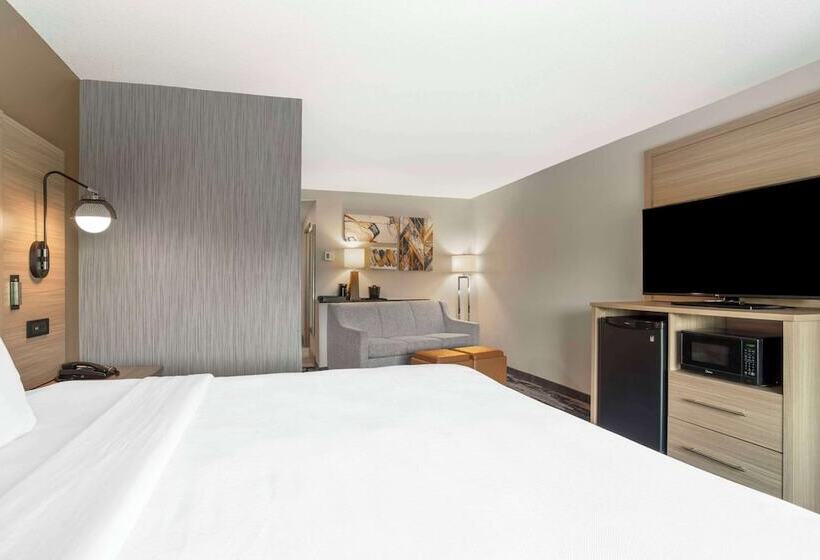 Люкс, Comfort Suites At Westgate Mall