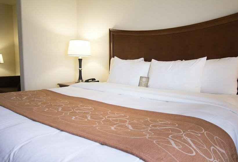 סוויטה, Comfort Suites San Antonio North  Stone Oak