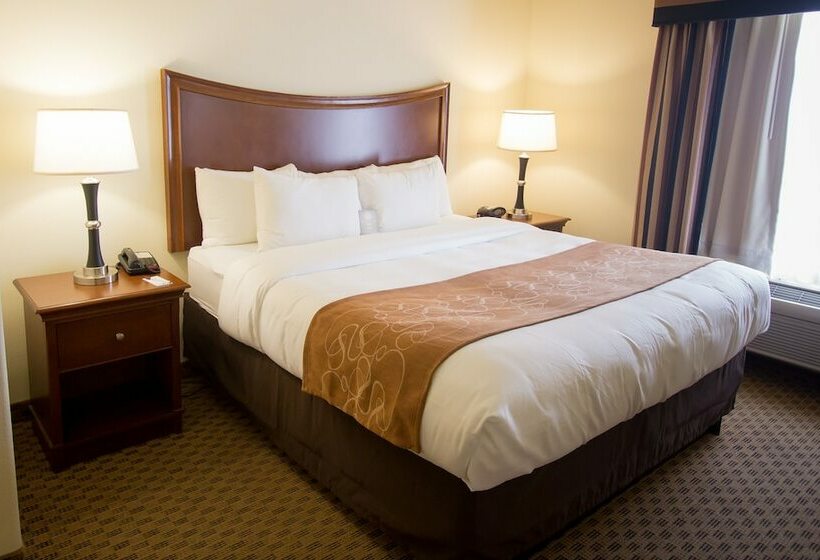 סוויטה, Comfort Suites San Antonio North  Stone Oak