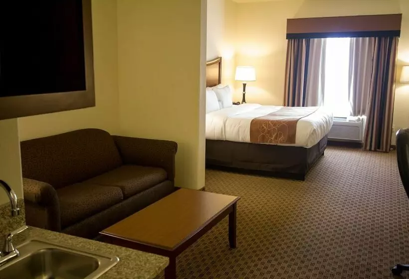 سوییت, Comfort Suites San Antonio North  Stone Oak