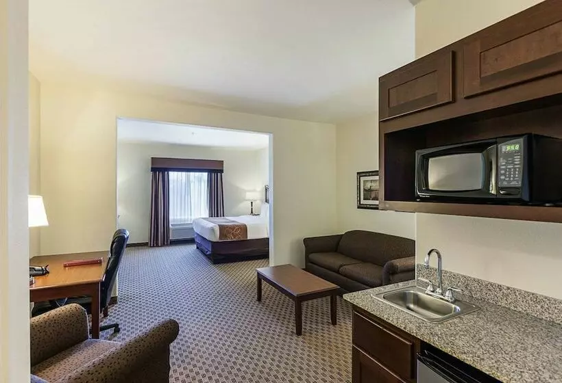 سوییت, Comfort Suites San Antonio North  Stone Oak