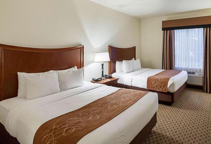 סוויטה, Comfort Suites San Antonio North  Stone Oak