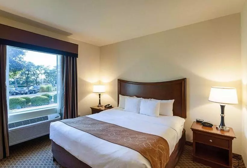 سوئیت با تخت بزرگ, Comfort Suites San Antonio North  Stone Oak