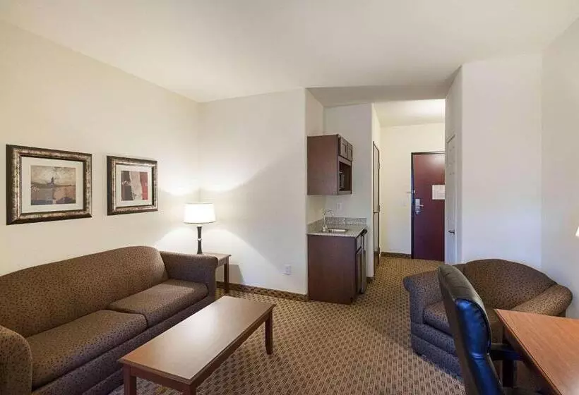 سوئیت با تخت بزرگ, Comfort Suites San Antonio North  Stone Oak