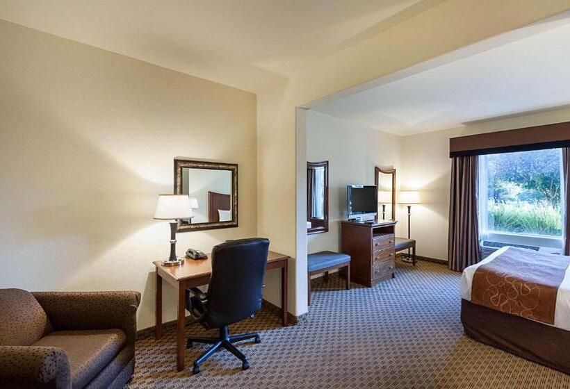 מיטת קינג בסוויטה, Comfort Suites San Antonio North  Stone Oak