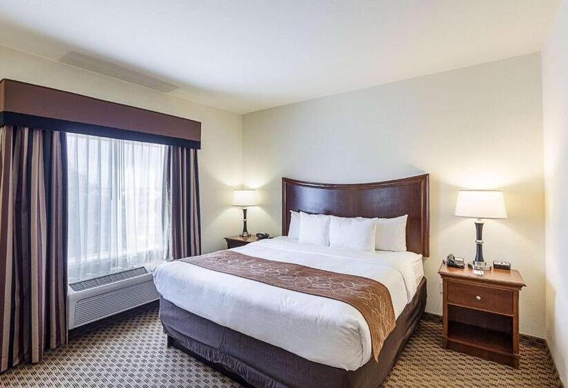 סוויטה מותאמת לאדם עם מוגבלויות, Comfort Suites San Antonio North  Stone Oak