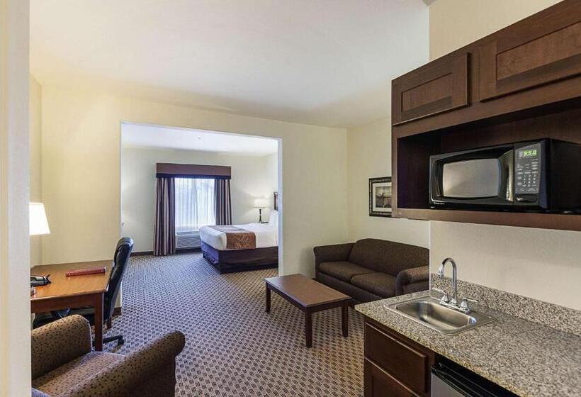 סוויטה מותאמת לאדם עם מוגבלויות, Comfort Suites San Antonio North  Stone Oak