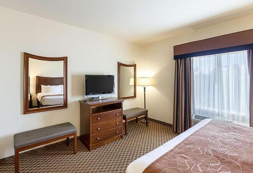סוויטה מותאמת לאדם עם מוגבלויות, Comfort Suites San Antonio North  Stone Oak