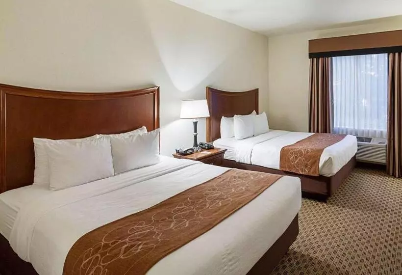 سوئیت برای معلولان, Comfort Suites San Antonio North  Stone Oak