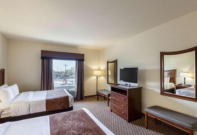 סוויטה מותאמת לאדם עם מוגבלויות, Comfort Suites San Antonio North  Stone Oak