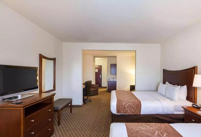 سوئیت برای معلولان, Comfort Suites San Antonio North  Stone Oak