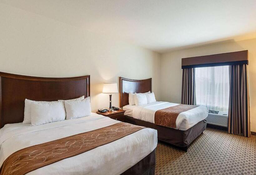 סוויטה מותאמת לאדם עם מוגבלויות, Comfort Suites San Antonio North  Stone Oak
