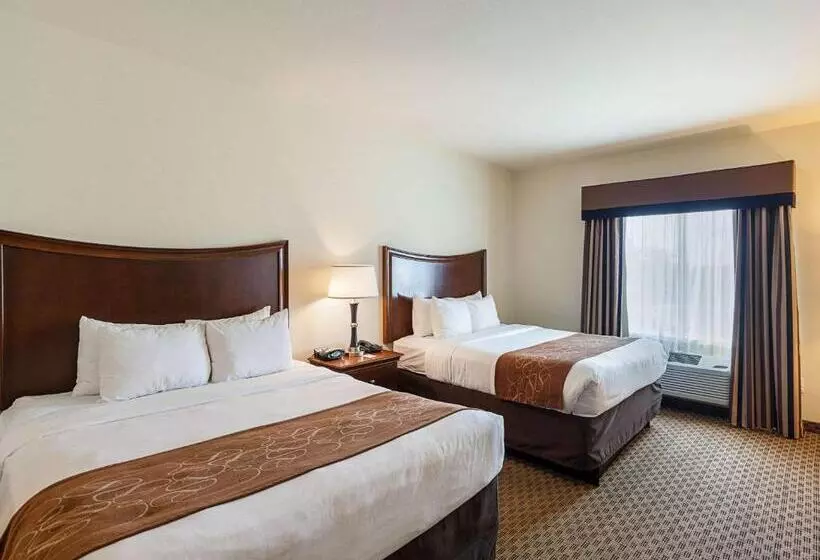 سوئیت برای معلولان, Comfort Suites San Antonio North  Stone Oak