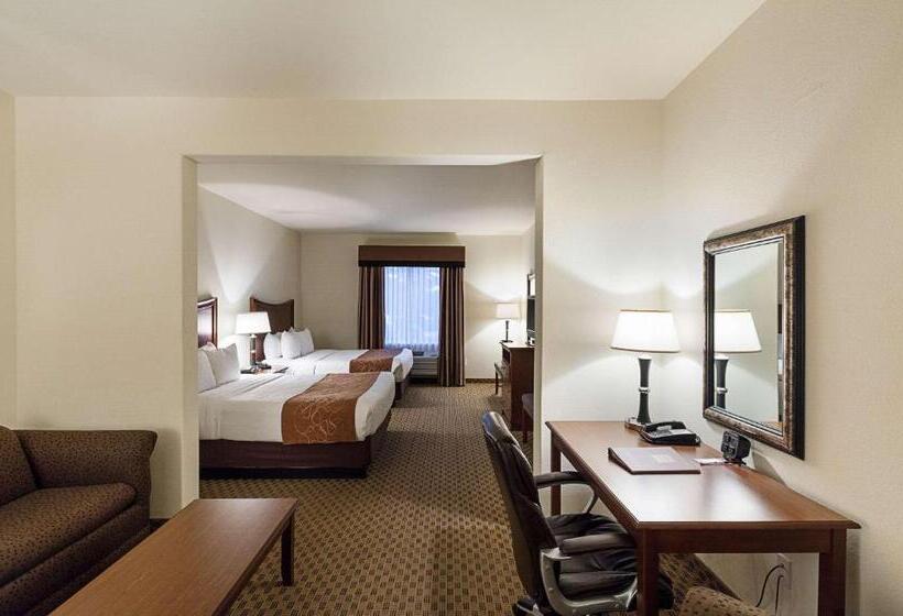 סוויטה מותאמת לאדם עם מוגבלויות, Comfort Suites San Antonio North  Stone Oak