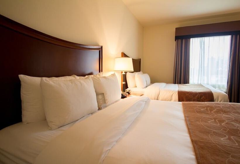 סוויטה, Comfort Suites San Antonio North  Stone Oak