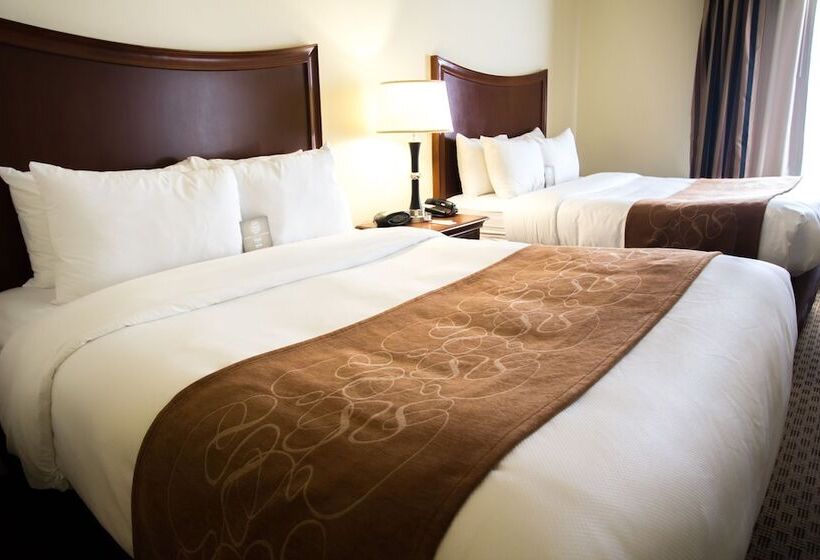 סוויטה, Comfort Suites San Antonio North  Stone Oak