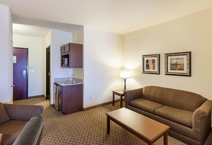 סוויטה, Comfort Suites San Antonio North  Stone Oak