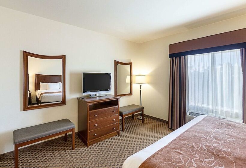 סוויטה מותאמת לאדם עם מוגבלויות, Comfort Suites San Antonio North  Stone Oak