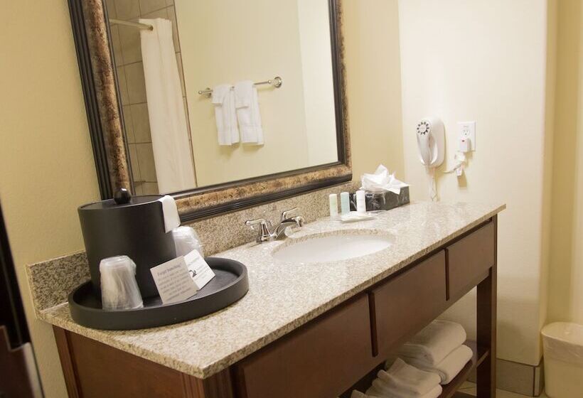 סוויטה מותאמת לאדם עם מוגבלויות, Comfort Suites San Antonio North  Stone Oak