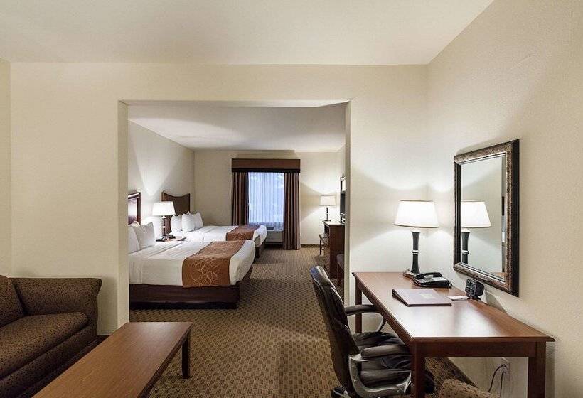 סוויטה מותאמת לאדם עם מוגבלויות, Comfort Suites San Antonio North  Stone Oak