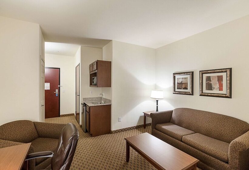 סוויטה מותאמת לאדם עם מוגבלויות, Comfort Suites San Antonio North  Stone Oak