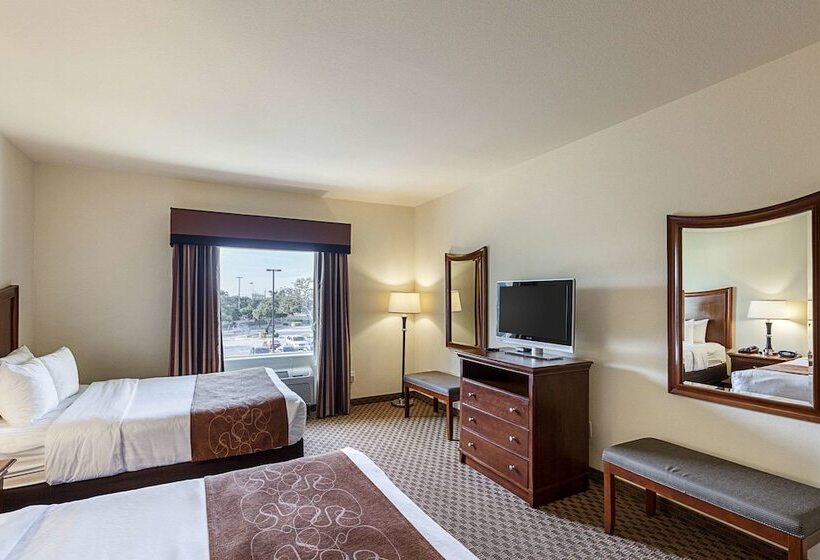 סוויטה מותאמת לאדם עם מוגבלויות, Comfort Suites San Antonio North  Stone Oak