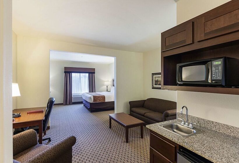סוויטה מותאמת לאדם עם מוגבלויות, Comfort Suites San Antonio North  Stone Oak