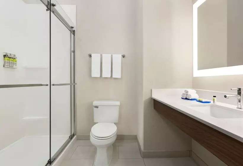 Standard-huone, Holiday Inn Express Hotel & Suites Mission Mcallen Area By Ihg
