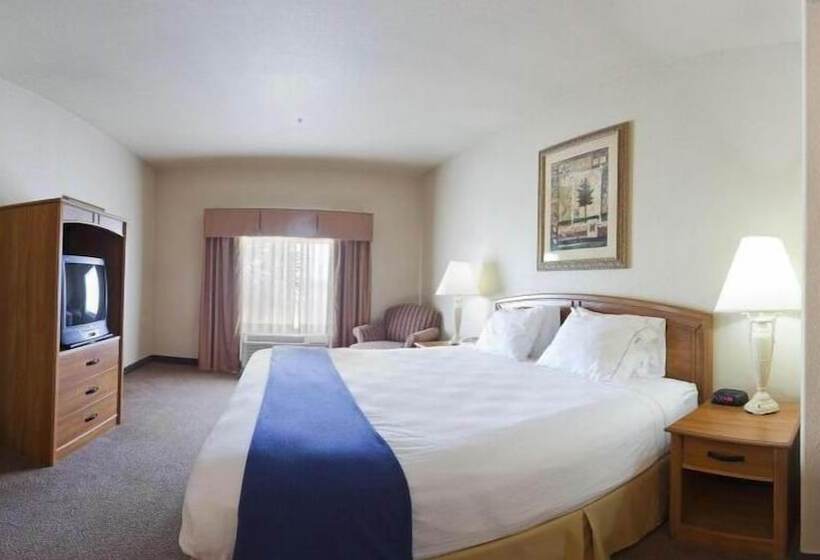Quarto Estandar, Holiday Inn Express Hotel & Suites Mission Mcallen Area By Ihg