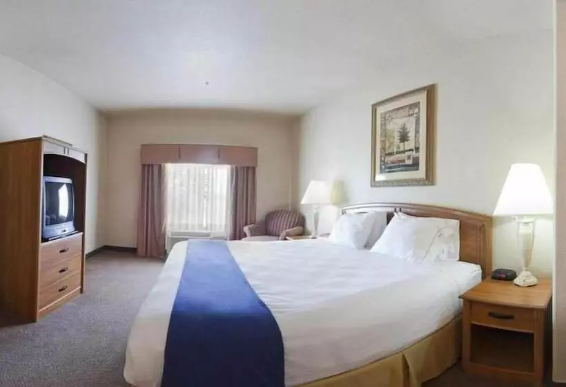 Standard-huone, Holiday Inn Express Hotel & Suites Mission Mcallen Area By Ihg