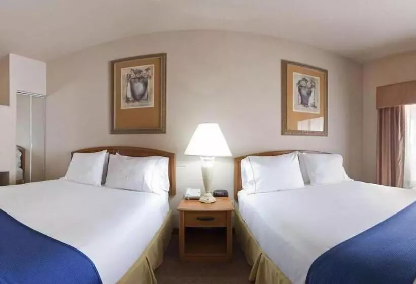 Executive-sviitti, Holiday Inn Express Hotel & Suites Mission Mcallen Area By Ihg