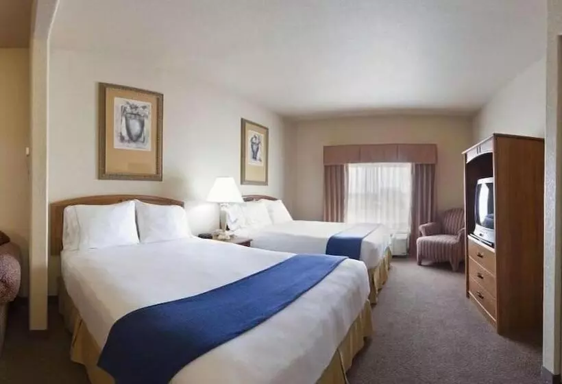 Executive-sviitti, Holiday Inn Express Hotel & Suites Mission Mcallen Area By Ihg