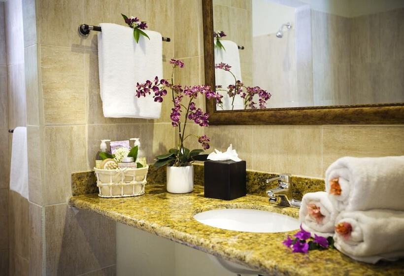 استودیوی لوکس, Marigot Beach Club And Dive Resort