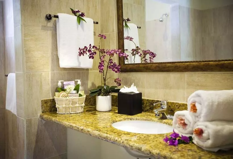 استودیوی لوکس, Marigot Beach Club And Dive Resort