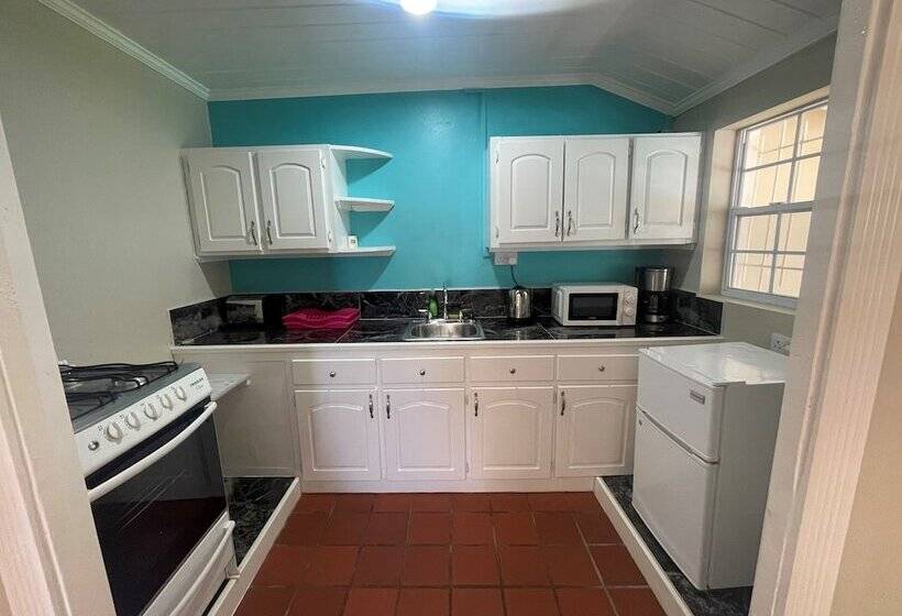 استودیوی استاندارد, Marigot Beach Club And Dive Resort