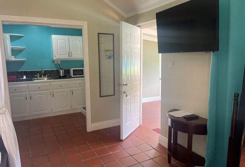 استودیوی استاندارد, Marigot Beach Club And Dive Resort